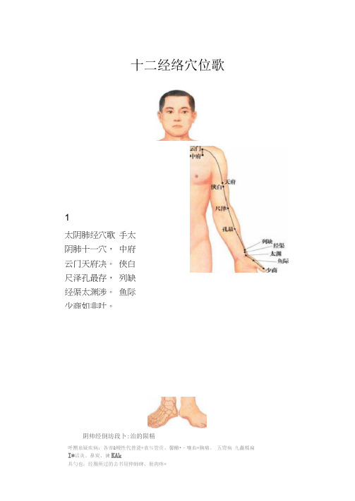 十二经络穴位歌(喜马拉雅)专用版