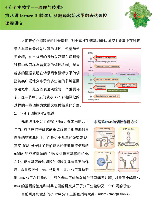 83第八讲_Lecture_3_翻译及翻译后水平的基因表达调控-讲义