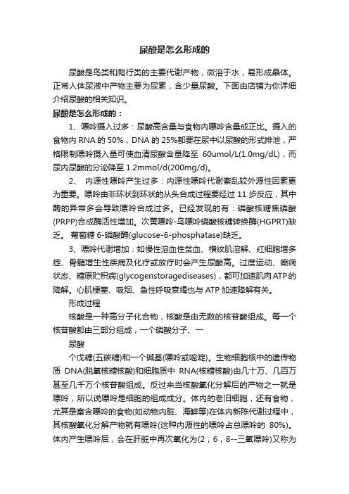 尿酸是怎么形成的