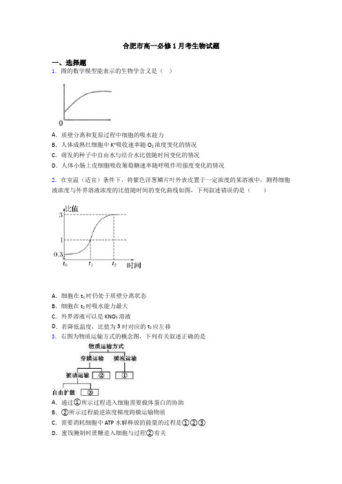 合肥市高一必修1月考生物试题