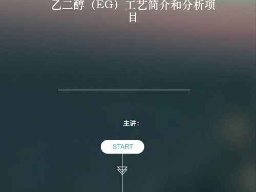 EG工艺简介和分析项目解析