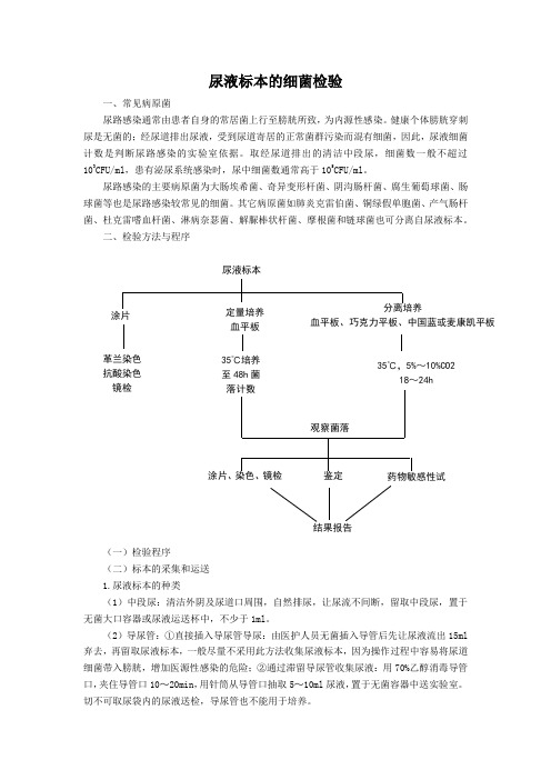 尿液标本的细菌检验