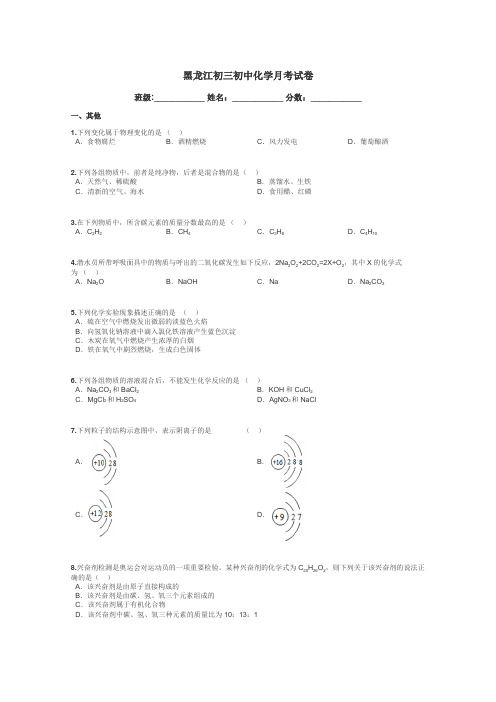 黑龙江初三初中化学月考试卷带答案解析
