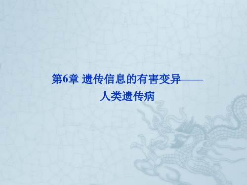 【优化方案】高考生物 第6章遗传信息的有害变异精品课件 北师大版必修2