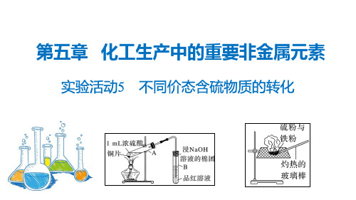 实验活动5 不同价态含硫物质的转化(人教版2019化学必修第二册)