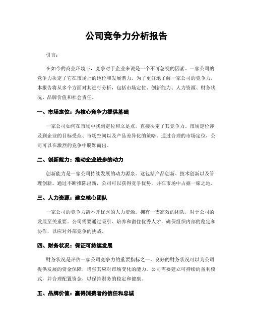 公司竞争力分析报告