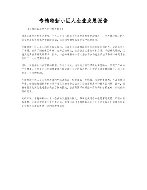 专精特新小巨人企业发展报告