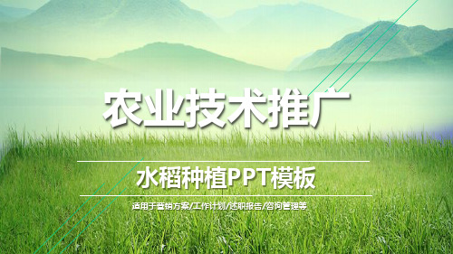 农业技术推广水稻种植PPT