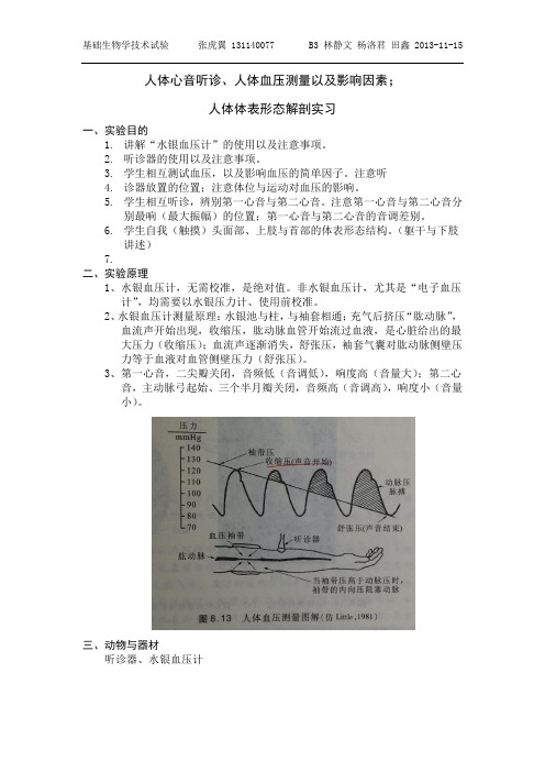 生物实验报告-人体心音听诊