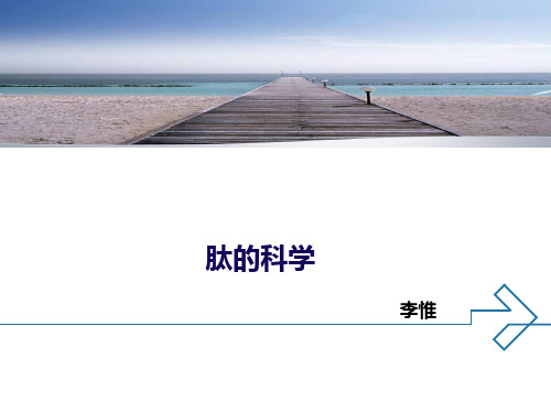 脑啡肽PPT课件