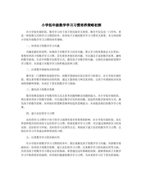 小学低年级数学学习习惯培养策略初探