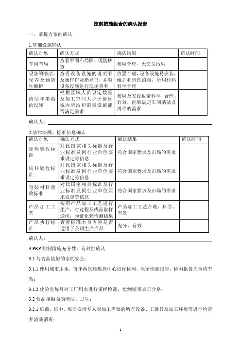 控制措施组合的确认报告