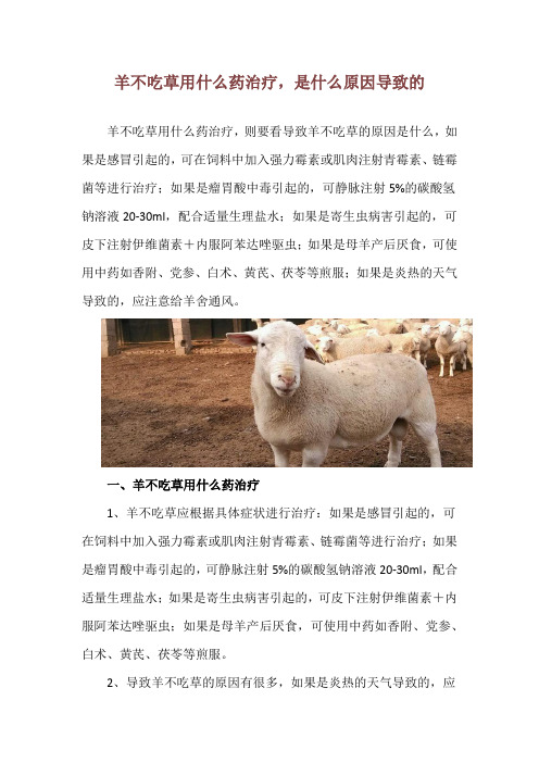 羊不吃草用什么药治疗,是什么原因导致的