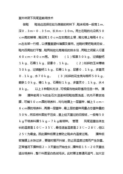 室外林阴下凤尾菇栽培技术