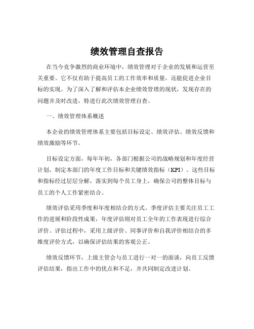 绩效管理自查报告