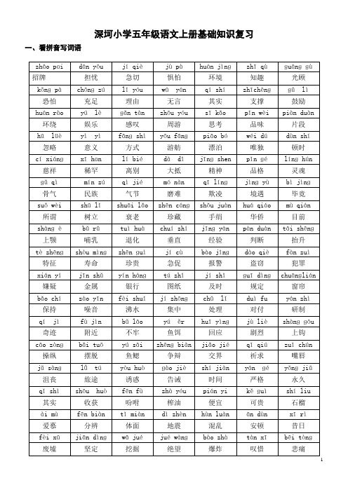 人教版五年级语文上册期末总复习资料