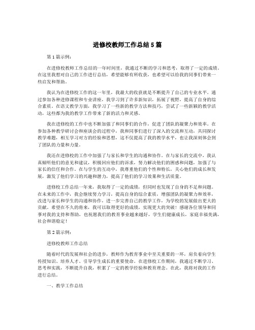 进修校教师工作总结5篇