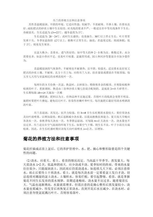 吊兰的养殖方法和注意事项