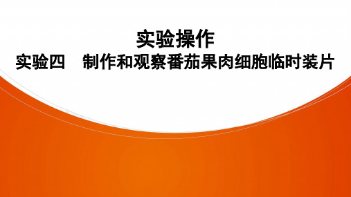 生物七年级上册人教版实验操作 实验4 制作和观察番茄果肉细胞临时装片