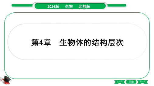 2024年北师大版中考生物总复习第一部分考点梳理七年级上册第2单元生物体的结构第4章生物体的结构层次