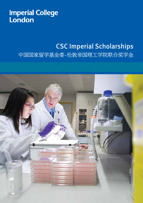 CSC 留学奖学金申请