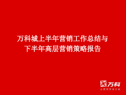 长沙万科城高层营销策略报告万科城上半年精品文档