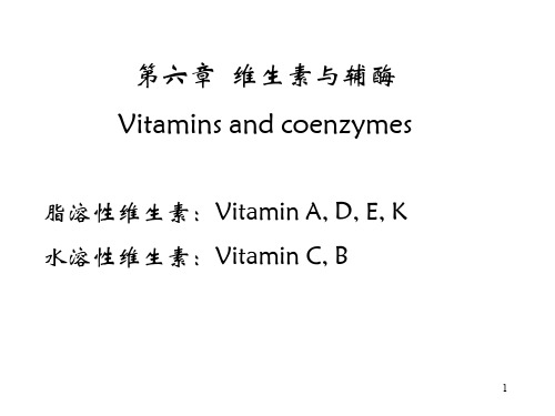 维生素与辅酶PPT幻灯片课件