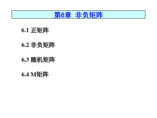 第6章 非负矩阵.