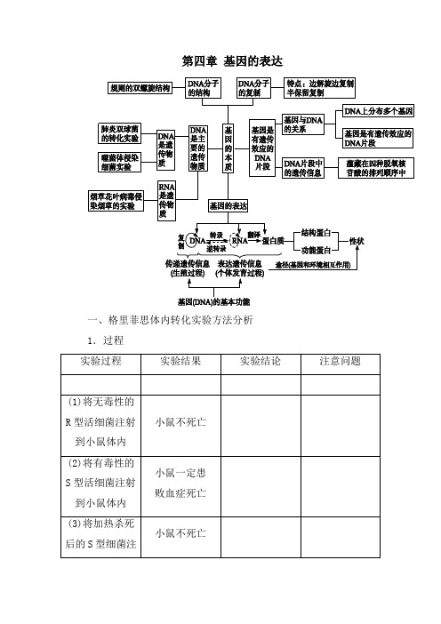 2013届高考生物知识整合复习教案7