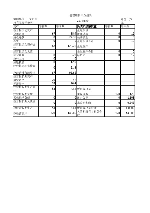 管理用资产负债表