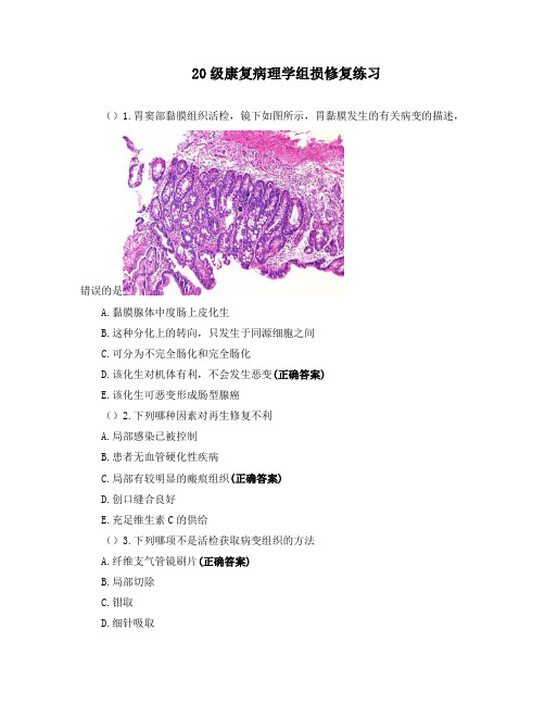 20级康复病理学组损修复练习