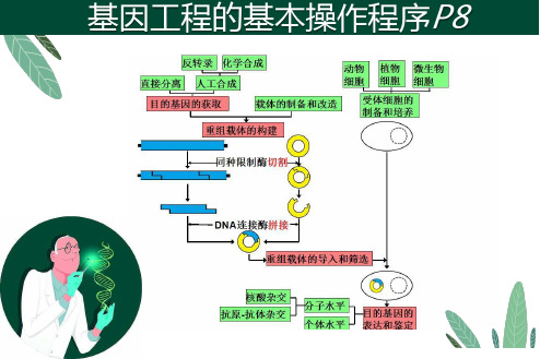 2基因表达载体的构建PPT下载