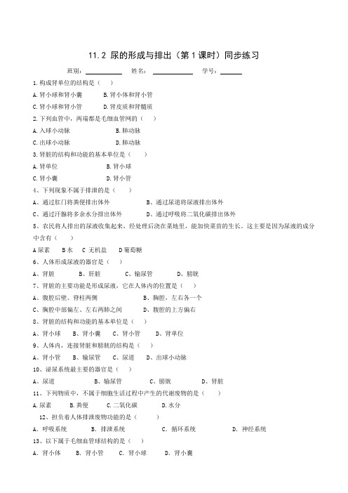 北师大版七年级生物下册同步检测：11.2.1 尿的形成与排出