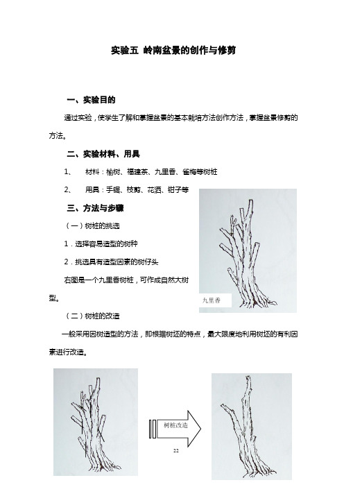 岭南盆景的创作与修剪 实验五