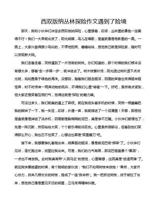 西双版纳丛林探险作文遇到了险境