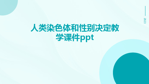 人类染色体和性别决定教学课件ppt