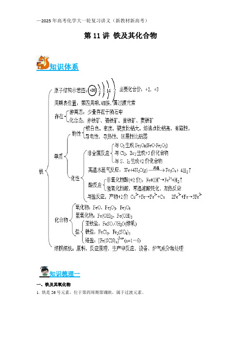 第11讲 铁及其化合物—2025年高考化学大一轮复习讲义(新教材新高考)原卷版