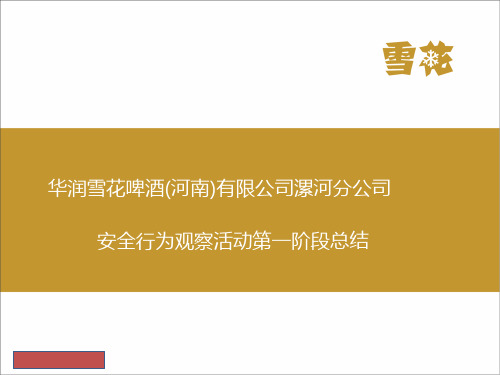 安全行为观察总结