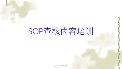 大润发SOP查核培训ppt课件