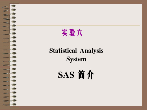 SAS的特点.ppt