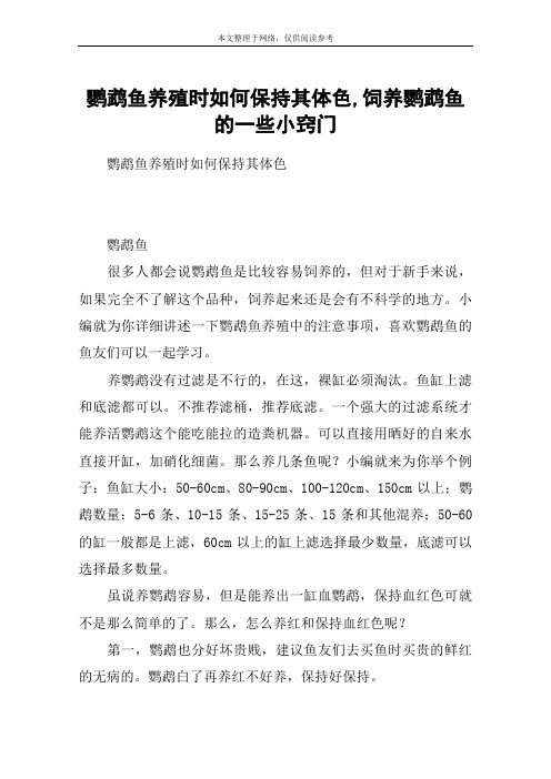 鹦鹉鱼养殖时如何保持其体色,饲养鹦鹉鱼的一些小窍门