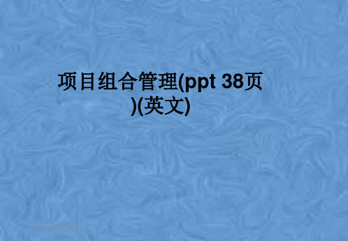 项目组合管理(ppt 38页)(英文)