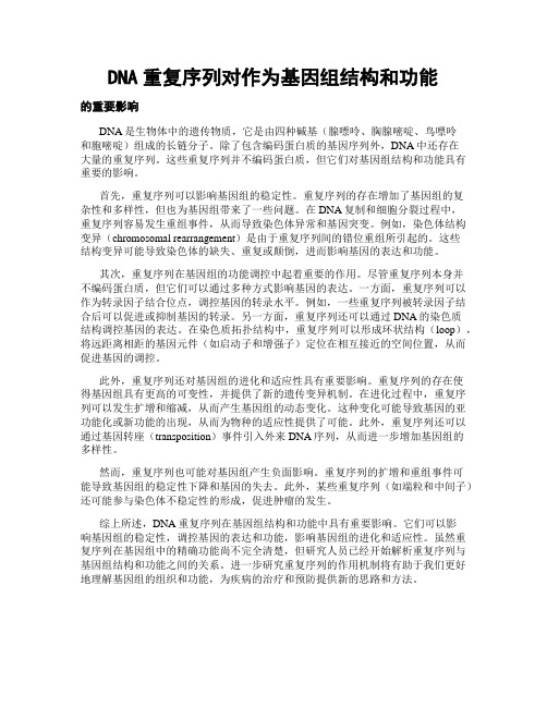 DNA重复序列对作为基因组结构和功能