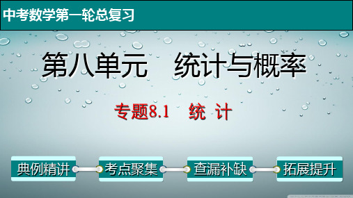 专题8.1 统计-2022年中考数学第一轮总复习课件(全国通用)