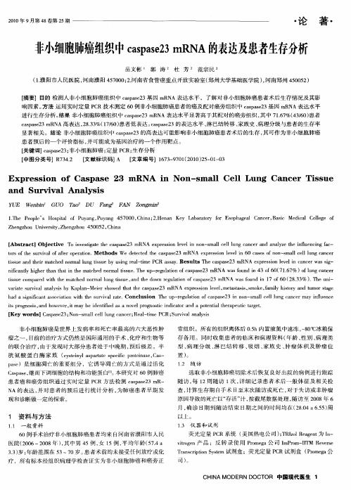 非小细胞肺癌组织中caspase23 mRNA的表达及患者生存分析