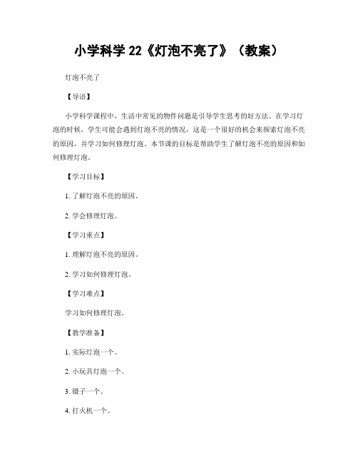 小学科学22《灯泡不亮了》(教案)