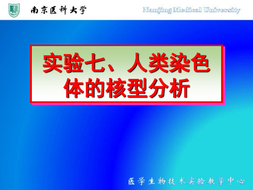 实验七、人类染色体的核型分析