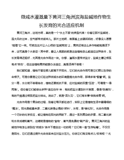 微咸水灌溉量下黄河三角洲滨海盐碱地作物生长发育的光合适应机制