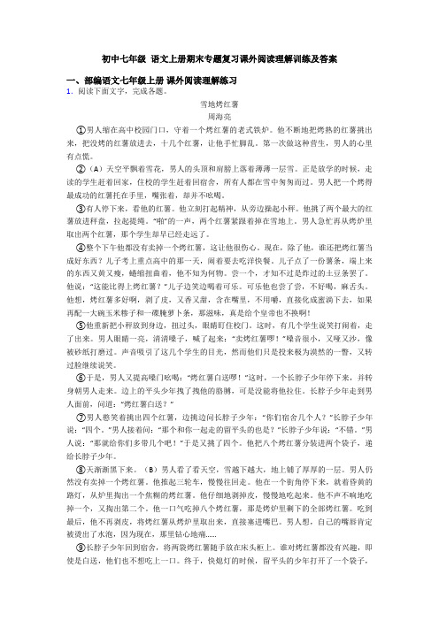 初中七年级 语文上册期末专题复习课外阅读理解训练及答案