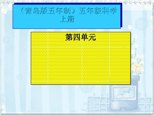 青岛版五年制科学五年级上册《铁和锈》课件